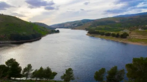 الناقل الوطني للمياه يعادل سعة سدود الأردن ويضخ 3 أضعاف الديسي