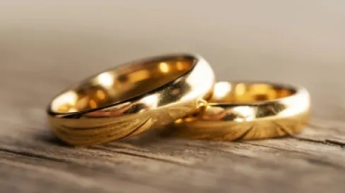 Jordan.. The government launches 