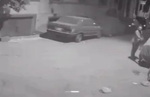 مصر.. مدير بنك شهير يقتل كلبا رميا بالرصاص ويثير ردود فعل غاضبة - فيديو