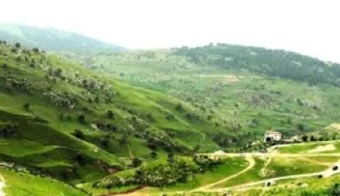 تنشيط السياحة: استقطاب 33 مؤثرا سعوديا لتغطية عدة مناطق بالأردن