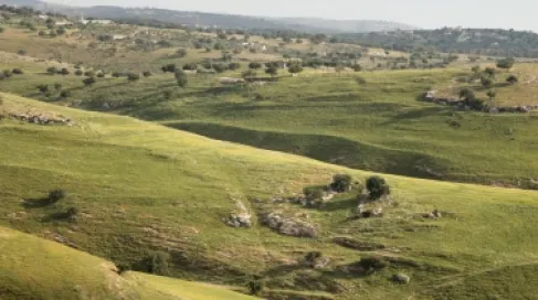 أجواء دافئة في معظم مناطق الأردن وحارة في الأغوار والعقبة