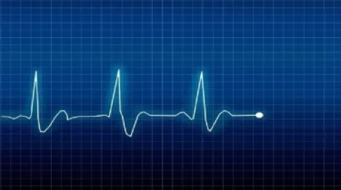 تباطؤ دقات القلب.. ما الحقيقة المدهشة وراء انخفاض النبض؟