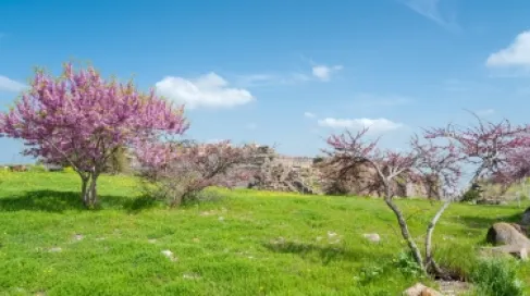 تنبيه مهم من الامن العام للمتنزهين