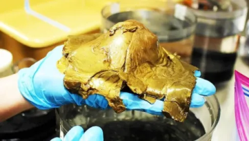 أخيراً.. اكتشاف سر الكرة الذهبية الغامضة في أعماق المحيط الهادئ