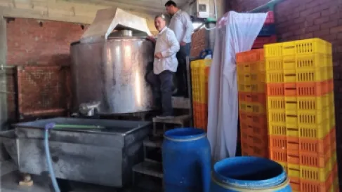 تسبب نزيفاً وتهتكاً بالأمعاء.. ضبط ألبان قاتلة في مصر