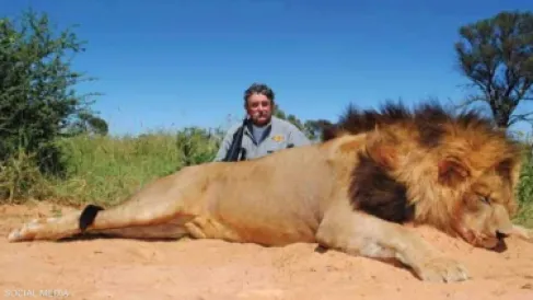 أفيال تسحق صيادا أميركيا حتى الموت