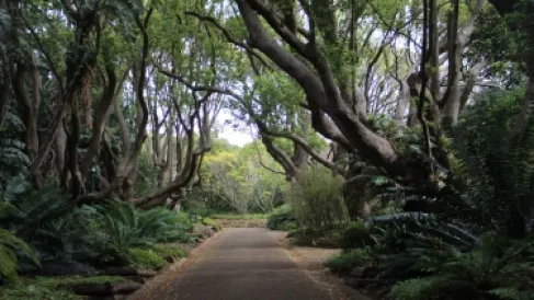 خلال رحلة صيد في غابات أفريقيا.. نهاية مأساوية لمليونير أمريكي