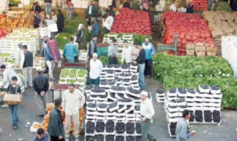 الزراعة: مكاتب بالأسواق لتطبيق المواصفات والمقاييس على المنتجات