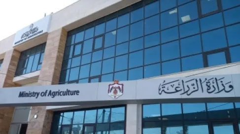 الزراعة: تعديل نظام الأسواق المركزية يفعّل الدور الرقابي