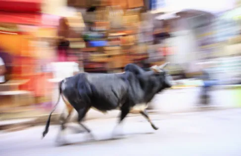 Death of a Young Father Gored During a Bull Running Festival in Spain in Front of Crowds - Video