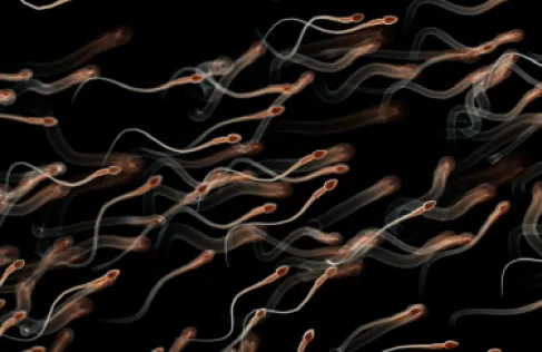 أولمبياد الحيوانات المنوية.. حدث أمريكي غريب يثير الجدل حول خصوبة الرجال