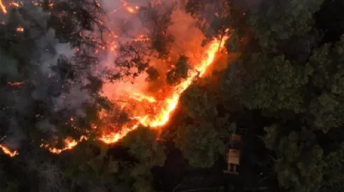 Without Water or Chemicals.. A Revolutionary Technology for Extinguishing Fires Using Sound