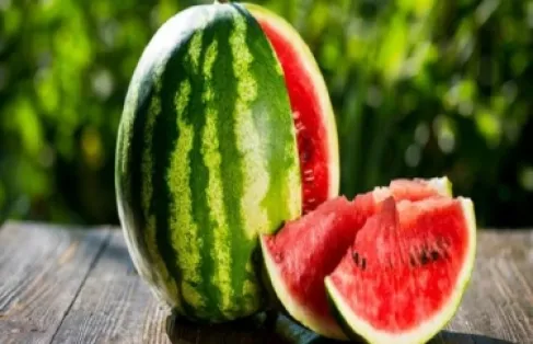 Rumors Chase Egyptian Watermelons... And the Government Settles the Debate with an Official Response