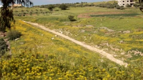 أجواء دافئة ومشمسة في أغلب مناطق الأردن الخميس