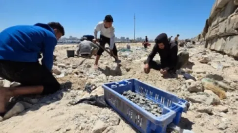 بديل من قاع الميناء: حيلة أهل غزة لمواجهة نقص الإسمنت