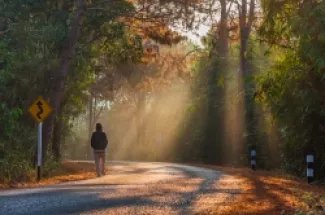 10 دقائق من المشي الهادئ أشبه بـ