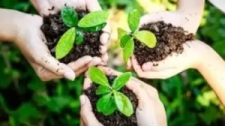 صورة تُظهر عدداً من الأيدي تحمل نباتات.