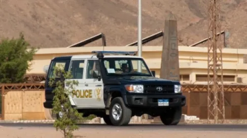 جريمة مروعة في مصر .. جدة تنهي حياة حفيدها بطريقة بشعة وتشرع في قتل شقيقته