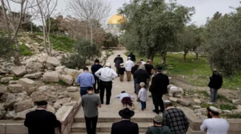 محافظة القدس: 8 محاولات لإدخال القرابين إلى المسجد الأقصى