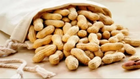 دراسة سويدية تكشف علاجًا واعدًا لحساسية الفول السوداني لدى الأطفال