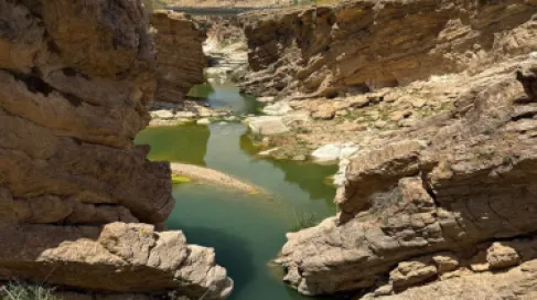 وزارة المياه تدرس إقامة مشاريع حصاد مائي في وادي الوالة ووادي الهيدان