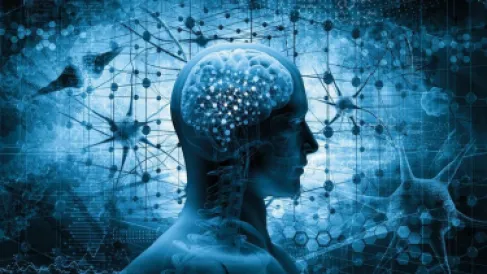 الدماغ البشري يعالج مرور الوقت.. عبر 3 مراحل متميزة