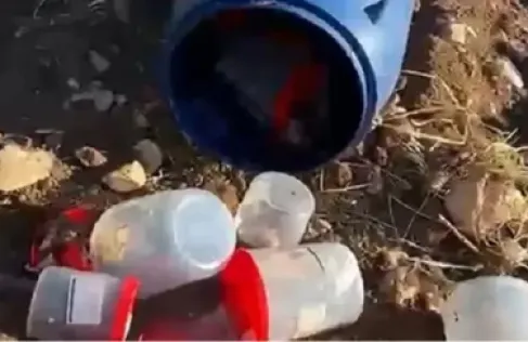 تركيا.. العثور على 21 جنينا بشريا في حاوية نفايات بمقبرة