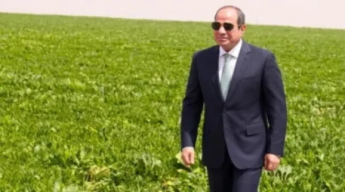 مشروع الدلتا الجديدة في مصر: لماذا قد لا يحقق الاكتفاء الذاتي الزراعي؟