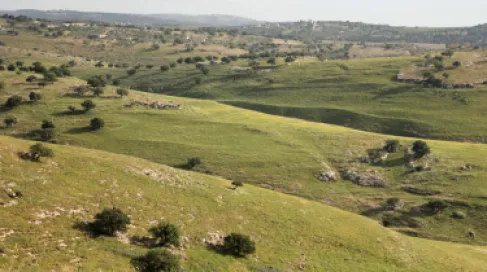 الأردن.. طقس مشمس معتدل في أغلب المناطق حتى الثلاثاء