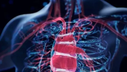 دراسة: ارتفاع ضغط الدم والنوبات القلبية مرتبط بالمضافات الغذائية