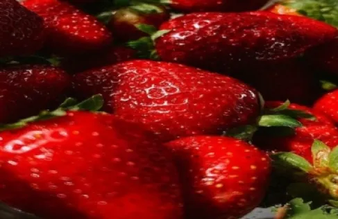 الحصة اليومية المثلى من الفراولة للبالغين