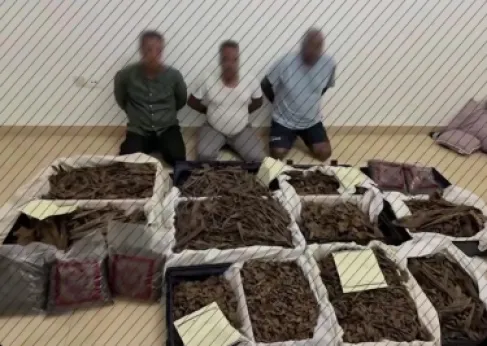 بينهم منتحلة صفة اميرة .. ضبط عصابة سرقت عودا فاخرا قيمته 12 مليون درهم