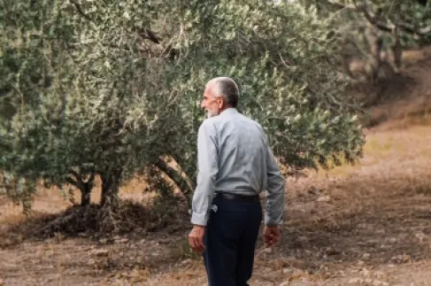 الاحتلال يسرق أراضي الفلسطينيين بنابلس لصالح المستوطنين
