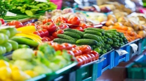 الأردن.. اتحاد المزارعين: ارتفاع أسعار الخضار بالتجزئة غير مبرر