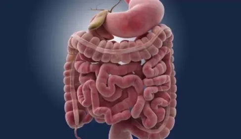 تستحق الإنفاق عليها.. 3 أطعمة تعزز صحة الأمعاء