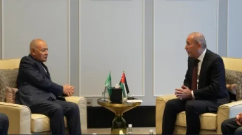الصفدي يلتقي أبو الغيط في عمّان