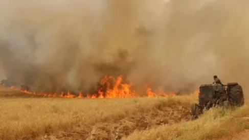 الكرك: الدفاع المدني يخمد حريقاً طال 20 دونماً من محاصيل القمح