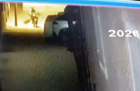 مصر.. تعرض 14 شخصا لهجوم من كلب يشتبه بإصابته بالسعار (فيديوهات)