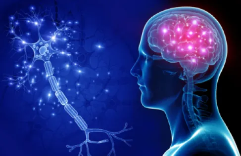 A Crucial Factor Linked to Accelerated Brain Aging in Young People