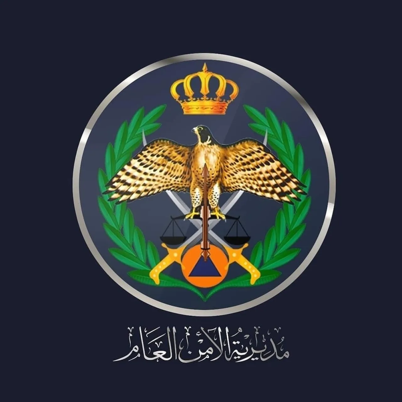 الأمن العام: التحقيقات تثبت زيف ادعاء تعرّض شخص للضرب خلال عملية تفتيش #عاجل 