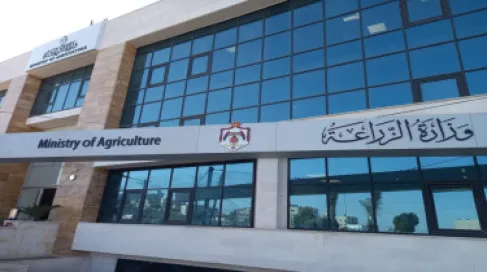 وزارة الزراعة: بدء استقبال طلبات شهادات الإنتاج