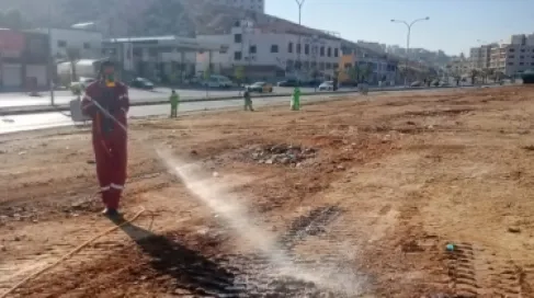 حملات رش بالمبيدات الصحية في جرش للحد من انتشار الحشرات صيفًا