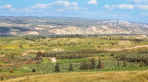 سلطة المياه: تملك 50 دونما أو وحدتين زراعيتين يؤهل للتقدم بطلب رخصة بئر مالحة