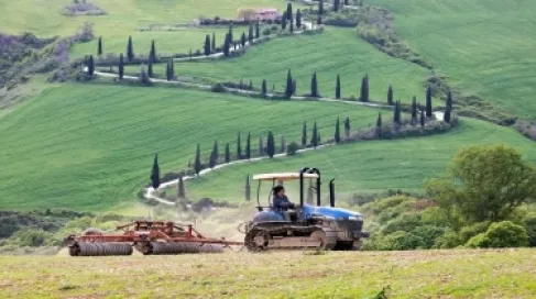 قضية صادمة في إيطاليا.. مزارع يترك عاملا هنديا ينزف حتى الموت