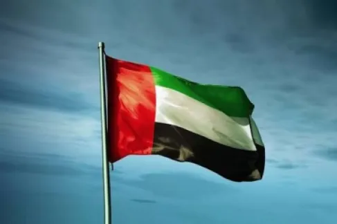 الدفاع الإماراتية: التعامل مع حريق عرضي في مستودع عسكري