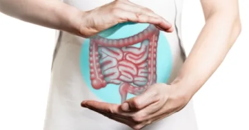 الدماغ الثاني في أمعائك.. هل هو السبب الحقيقي وراء الإمساك المزمن؟
