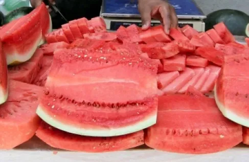 خبيرة روسية: البطيخ الأحمر 