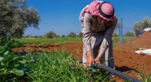 الاردن يحقق تحسناً ملحوظاً في مؤشرات الأمن الغذائي والتغذية العالمية