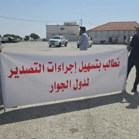 وقفة لمزارعي جنوب الأردن احتجاجًا على انهيار الأسعار – صور