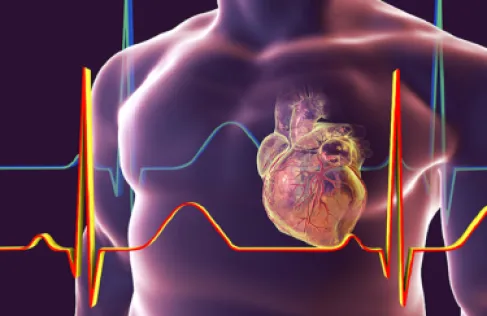 طبيب قلب يكشف الطريقة الوحيدة لإبطاء شيخوخة عضلة القلب